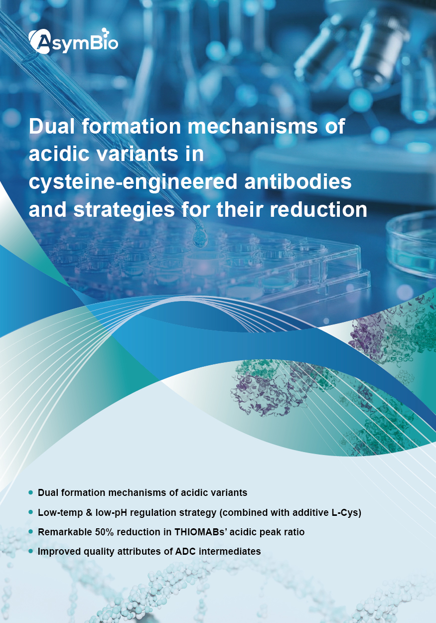 �ŵ�88(�й���)�ٷ���վ