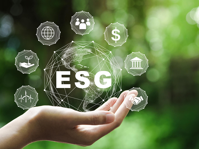 �ŵ�88(�й���)�ٷ���վ