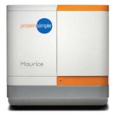 �ŵ�88(�й���)�ٷ���վ