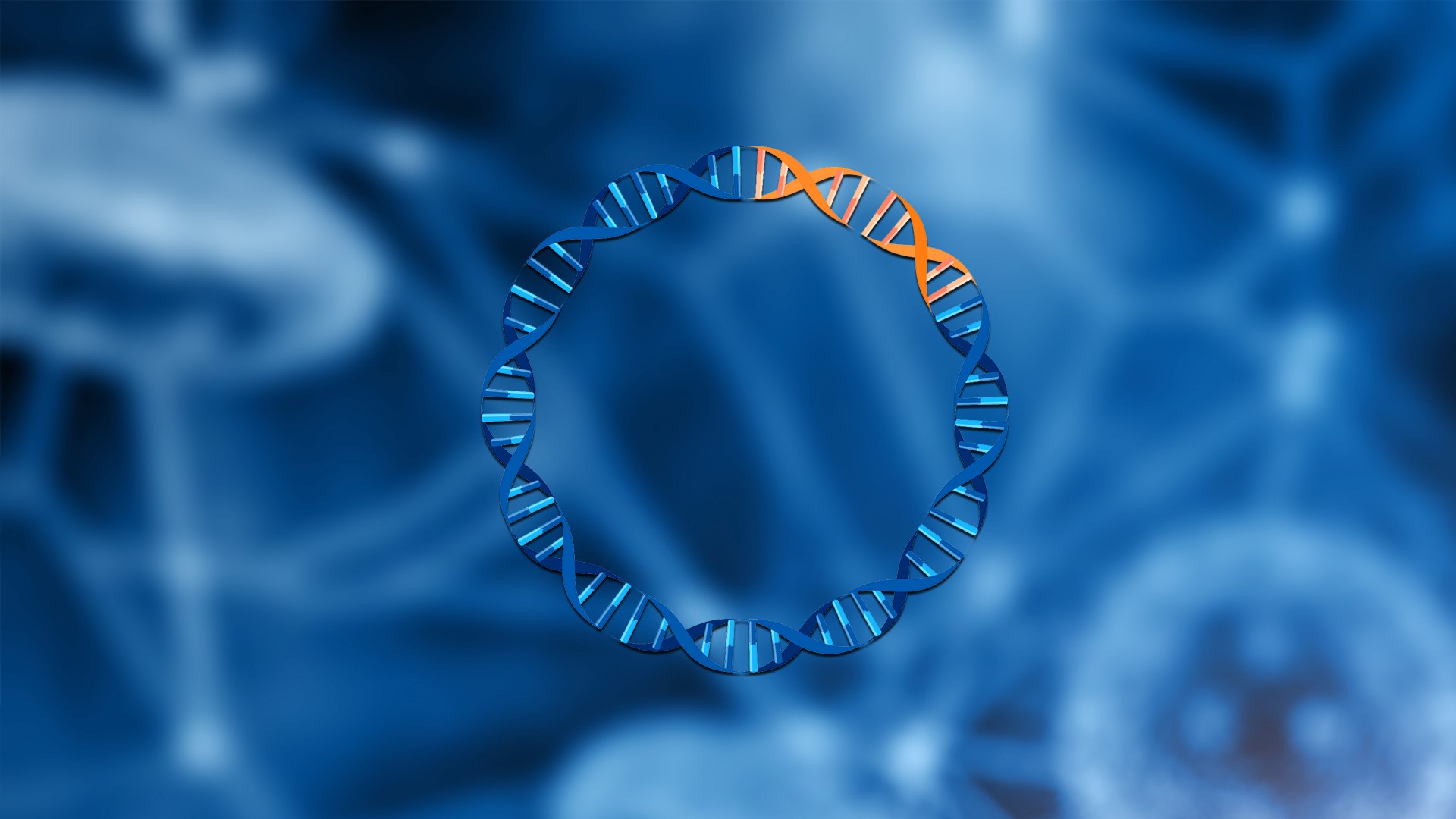 �ŵ�88(�й���)�ٷ���վ