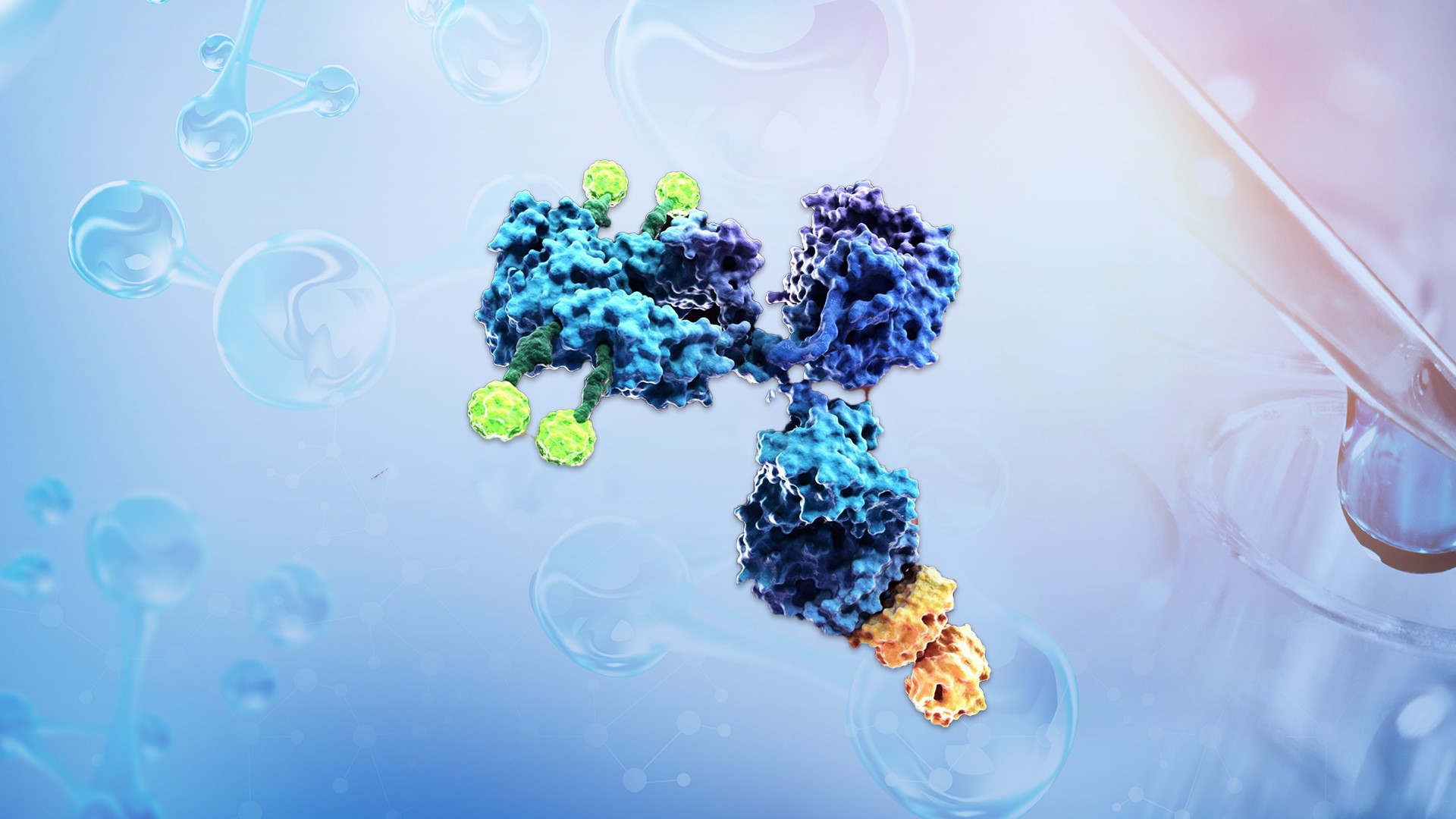 �ŵ�88(�й���)�ٷ���վ