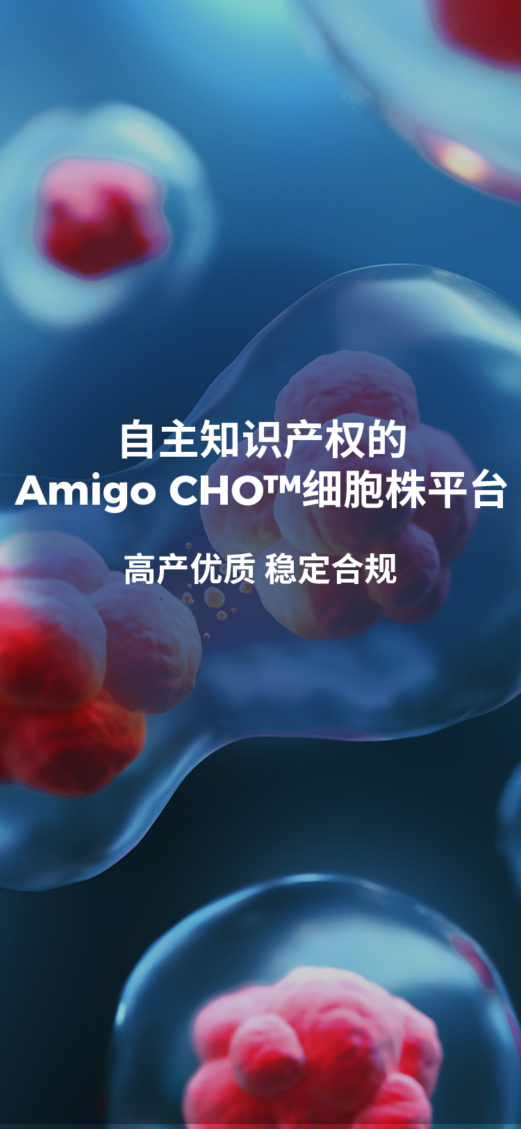 �ŵ�88(�й���)�ٷ���վ