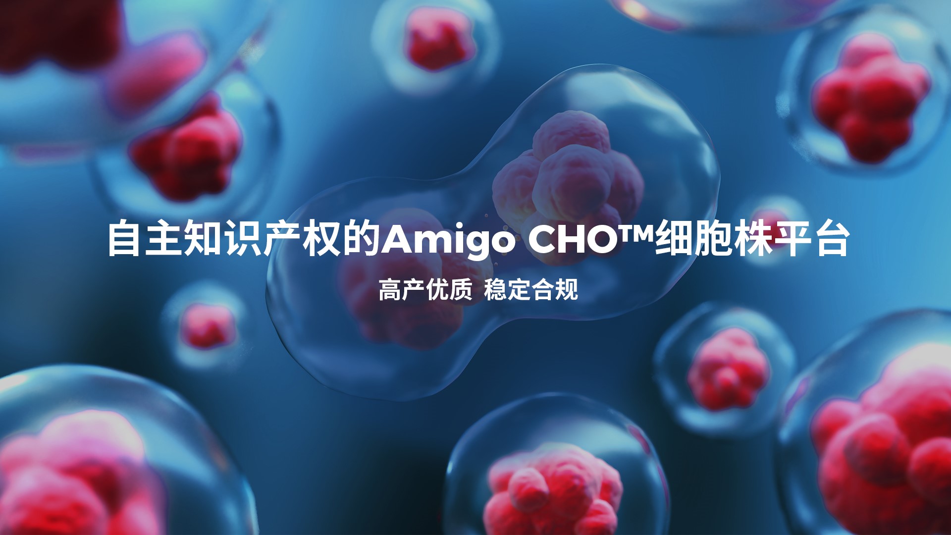 �ŵ�88(�й���)�ٷ���վ