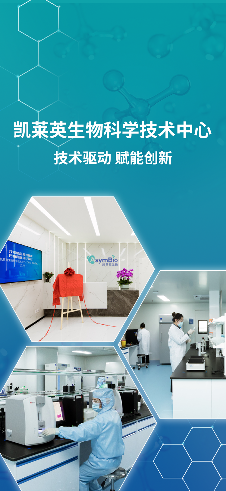 �ŵ�88(�й���)�ٷ���վ