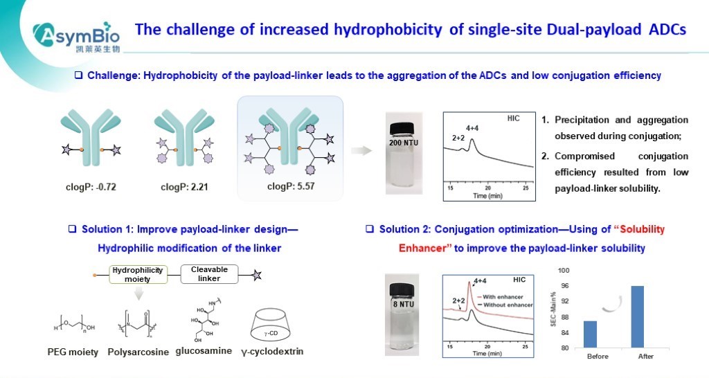 P7 AsymBio.16th wADC slides.jpg P7 AsymBio.16th wADC slides.jpg