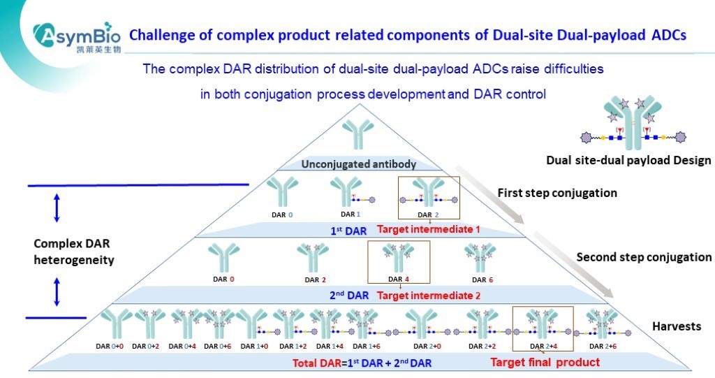 P9 AsymBio.16th wADC slides.jpg P9 AsymBio.16th wADC slides.jpg