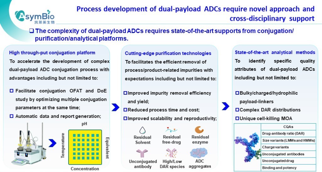 P12 AsymBio.16th wADC slides.jpg P12 AsymBio.16th wADC slides.jpg